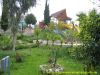 Club_Verano_Side_(13).jpg