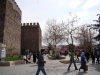 DSC05667~0.JPG
