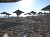 P1000923.jpg