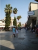 ephesus-kusadasi_372.jpg