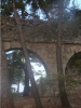 phaselis_(2).jpg
