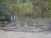 phaselis_(38).jpg