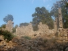phaselis_(43).jpg